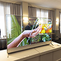 Thomson gamma TV 2024 tra OLED e Quantum Dot