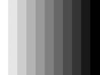 grayscale.jpg