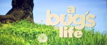 a bug\'s life - titolo  - personale.jpg