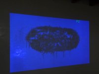 DSC01655 [1024x768].JPG