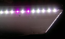 Led Ambilight.jpg