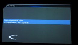 Aloni verdi e magenta2.jpg