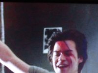 DSC00587 (Copia).JPG