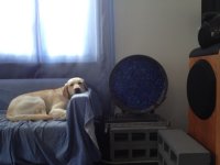 IMG_01011.JPG IMG_01011.JPG