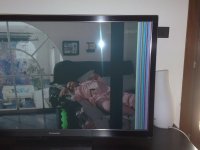 20042012376 (600 x 450).jpg