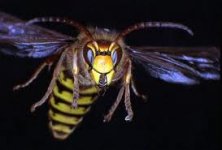 images.jpg images.jpg