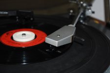 DSC_9886.jpg DSC_9886.jpg