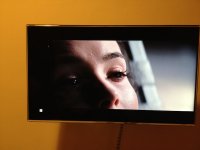 Incarnato1080P.JPG Incarnato1080P.JPG