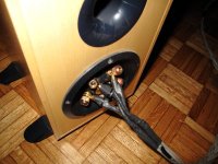 Particolare connessione bi-wiring 1.JPG