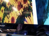 20120924_143239 (Medium).jpg