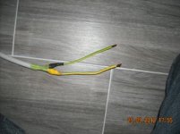 DSCN5552 - Copia.JPG