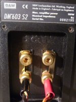 morsetti piccola.jpg