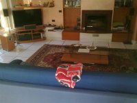 180320131272 (Large).jpg