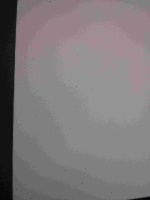 2013-04-02 15.15.13.jpg