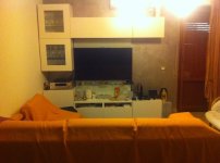 IMG_7262.jpg IMG_7262.jpg