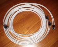 CAM00091.jpg CAM00091.jpg