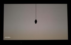 alone vt60 25 ire.jpg