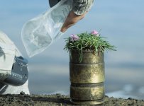 Oblivion no3dlut.jpg Oblivion no3dlut.jpg