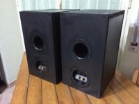 10441948_10202895303836078_6901973607793438426_n (1) (FILEminimizer).jpg