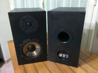 10458348_10202895303236063_5469438201927043308_n (FILEminimizer).jpg