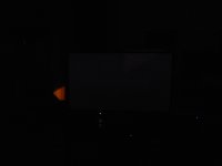 P1050728x.jpg P1050728x.jpg