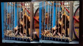 20140824_115821 (Copia).jpg