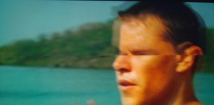 DSC08511 - Copia_crop_crop.JPG