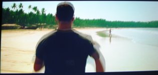 DSC08552 - Copia_crop.JPG