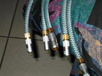 DSCF2131 (600 x 450).jpg