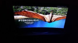 20150610_195848.jpg 20150610_195848.jpg