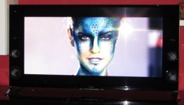 IMG_1655.JPG IMG_1655.JPG