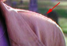 screenshot (terminator 3, particolare).jpg