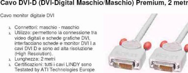 cavo dvi d.jpg