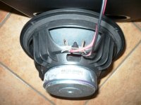 Dyna_mite_.jpg Dyna_mite_.jpg