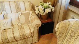 IMG_20160506_094656 (FILEminimizer).jpg