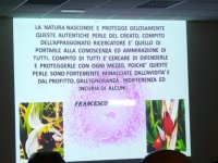 OK2_003.jpg OK2_003.jpg