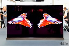 ridble-lg-tv-oled-anteprima.jpg