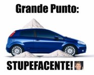 grande punto.jpg