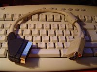 dsc01593 (small).jpg