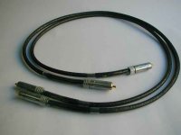 cavo SilverRaincoat.jpg