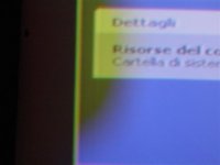 DSC01955 (Small).JPG