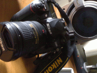 04102006021 copia.gif