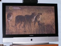 sams000140.jpg sams000140.jpg