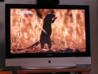 sams000141.jpg sams000141.jpg