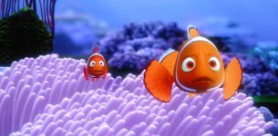 nemo1web.jpg