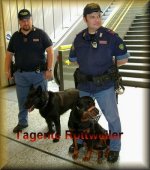 l'agente rottweiler.jpg