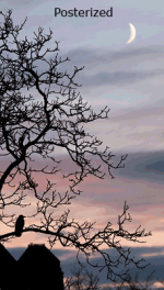 tut_posterization_example.png