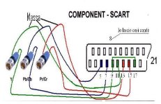 collegamento_scart_component.JPG