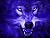 L'avatar di l.wolf