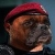 L'avatar di Gary_a_Getty